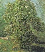 Vincent Van Gogh Blossoming Chestnut Tree Germany oil painting artist